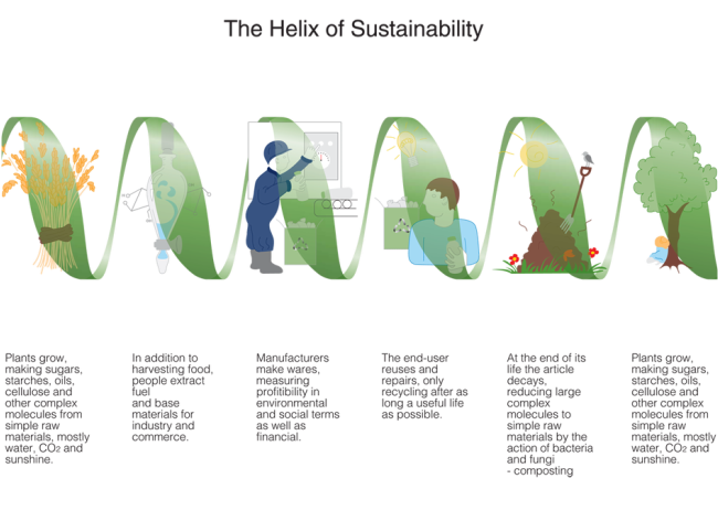 Sustainability of Life on Earth