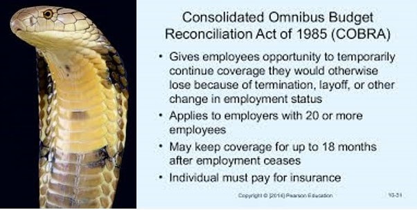 Consolidated Omnibus Budget Reconciliation Act (