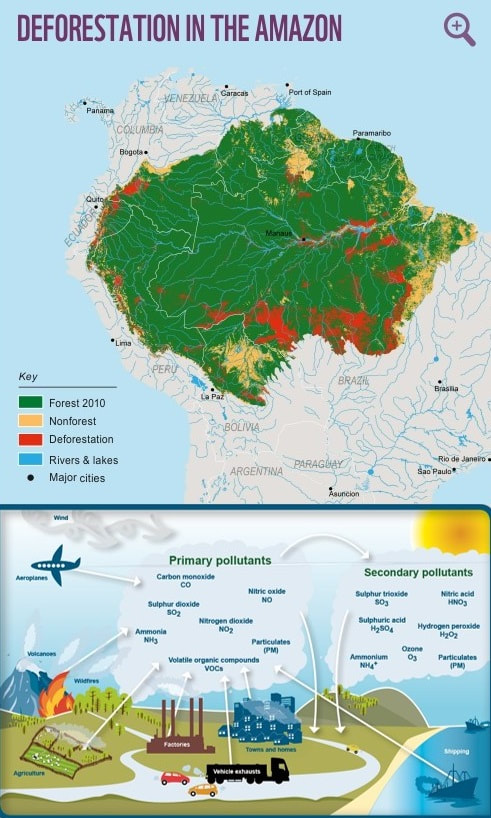 Impact of Deforestation and Air Pollution on Oxygen Supply