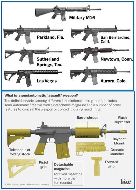 Assault Weapons in the United States