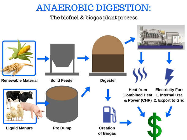 Biogas and Biofuel