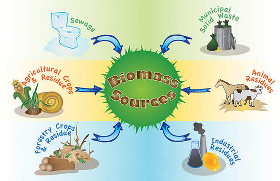 Bioenergy and Biomass