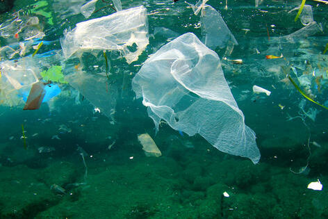 Plastics Pollution