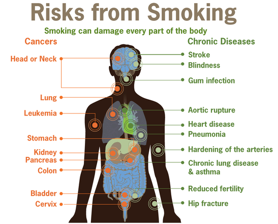 Tobacco Smoking including Health Effects of Tobacco, e.g., Chronic Obstructive Pulmonary Disease (COPD)