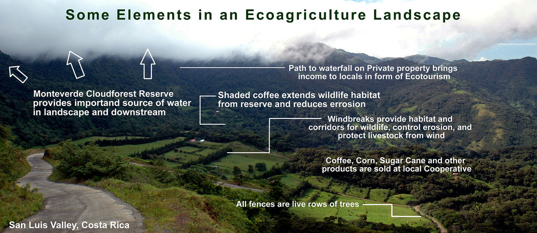 EcoAgriculture