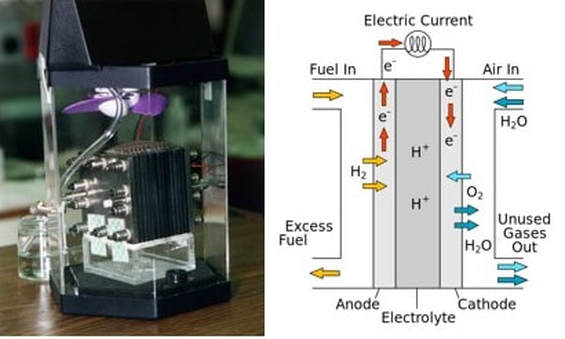 Fuel Cell (Top)