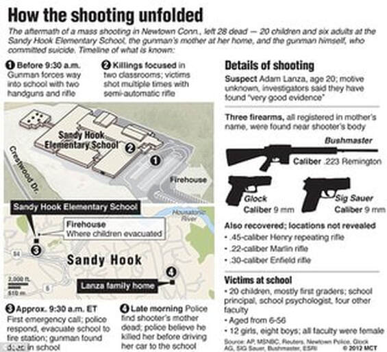 Gun control after the Sandy Hook Elementary School shooting