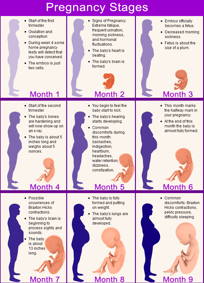 Pregnancy and Child Birth
