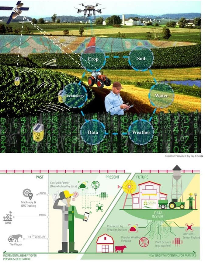 Artificial Intelligence in Agriculture: Precision and Digital Applications