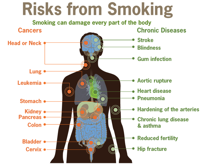 Smoking and its Health Effects